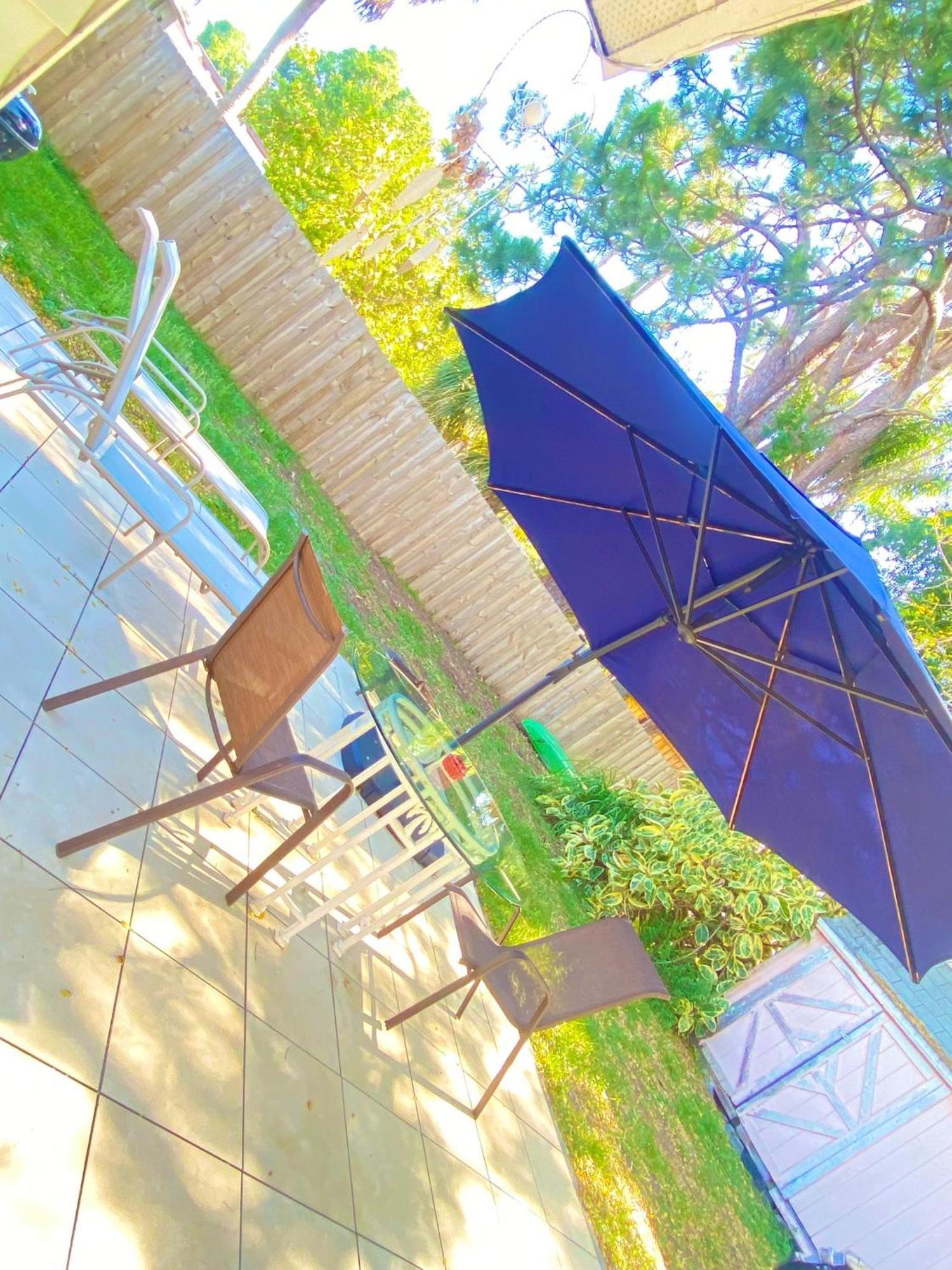 Cozy Studio Only 10 Minutes By Car Of Siesta Key 萨拉索塔 外观 照片